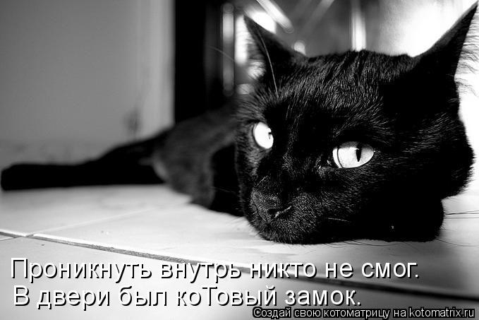 Котоматрица: Проникнуть внутрь никто не смог. В двери был коТовый замок.