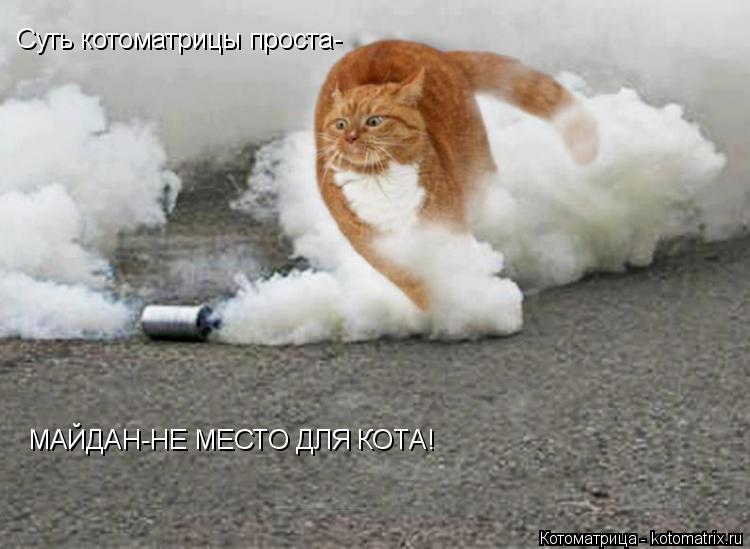 Cуть котоматрицы проста- МАЙДАН-НЕ МЕСТО ДЛЯ КОТА!... Котоматрица: Cуть котоматрицы проста- МАЙДАН-НЕ МЕСТО ДЛЯ КОТА!
