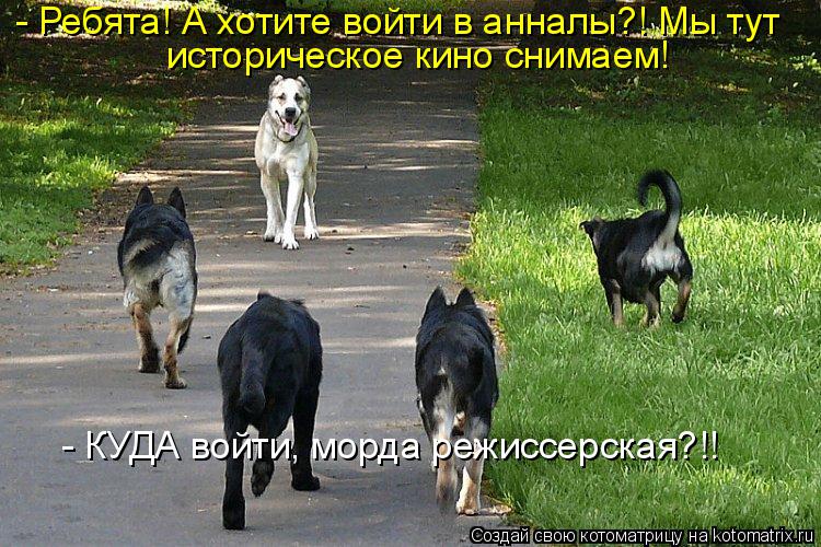 Котоматрица: - Ребята! А хотите войти в анналы?! Мы тут историческое кино снимаем! - КУДА войти, морда режиссерская?!!