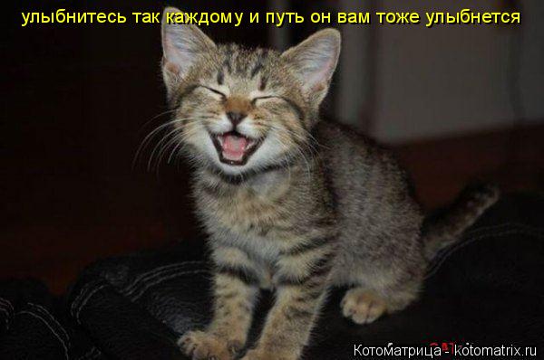 улыбнитесь так каждому и путь он вам тоже улыбнется... Котоматрица: улыбнитесь так каждому и путь он вам тоже улыбнется