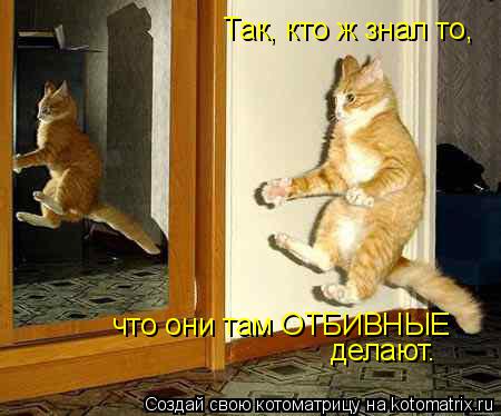 Котоматрица: Так, кто ж знал то, что они там ОТБИВНЫЕ делают.