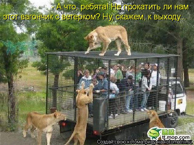 Котоматрица: - А что, ребята! Не прокатить ли нам  этот вагончик с ветерком? Ну, скажем, к выходу...