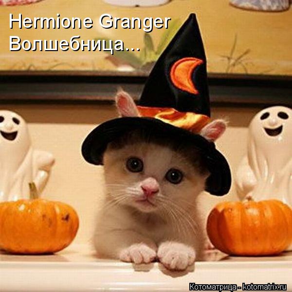 Котоматрица: Hermione Granger Волшебница...