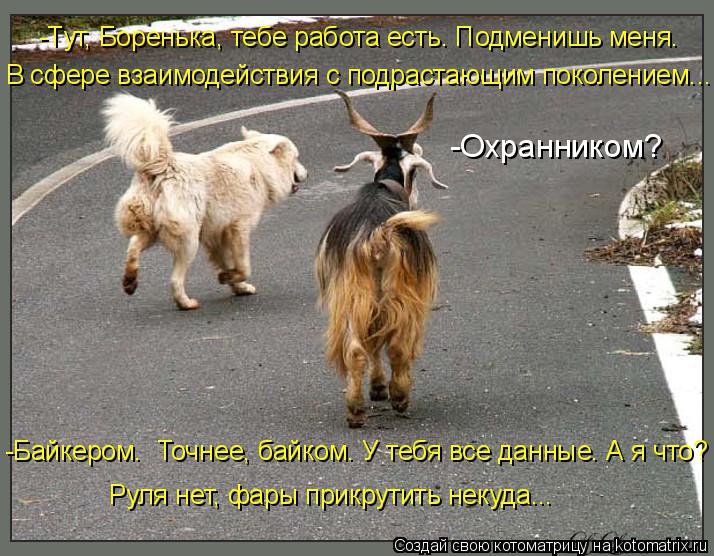 Котоматрица: -Охранником? -Байкером.  Точнее, байком. У тебя все данные. А я что? Руля нет, фары прикрутить некуда... В сфере взаимодействия с подрастающим п