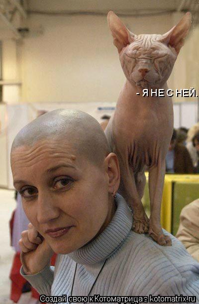 Котоматрица: - Я НЕ С НЕЙ.