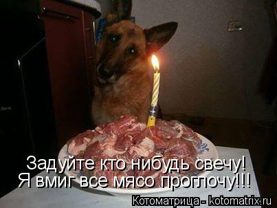Котоматрица: Задуйте кто нибудь свечу! Я вмиг все мясо проглочу!!!