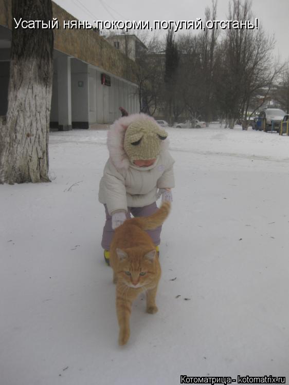 Котоматрица: Усатый нянь:покорми,погуляй,отстань!