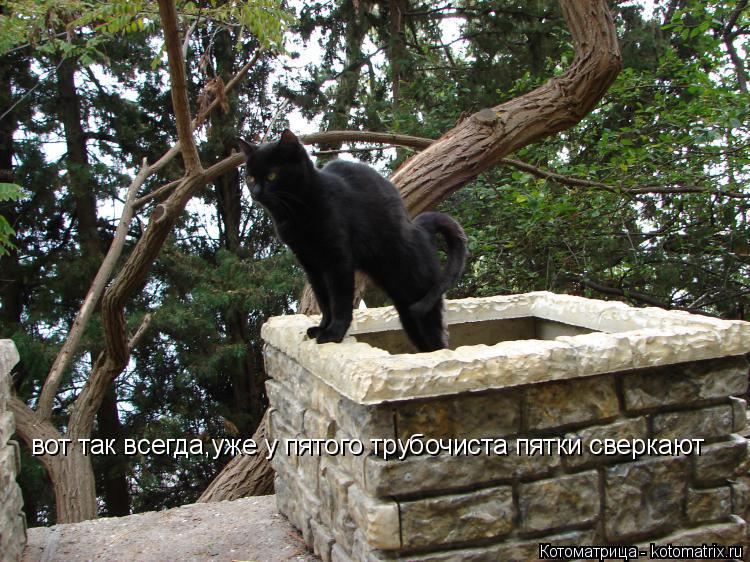 Котоматрица: вот так всегда,уже у пятого трубочиста пятки сверкают