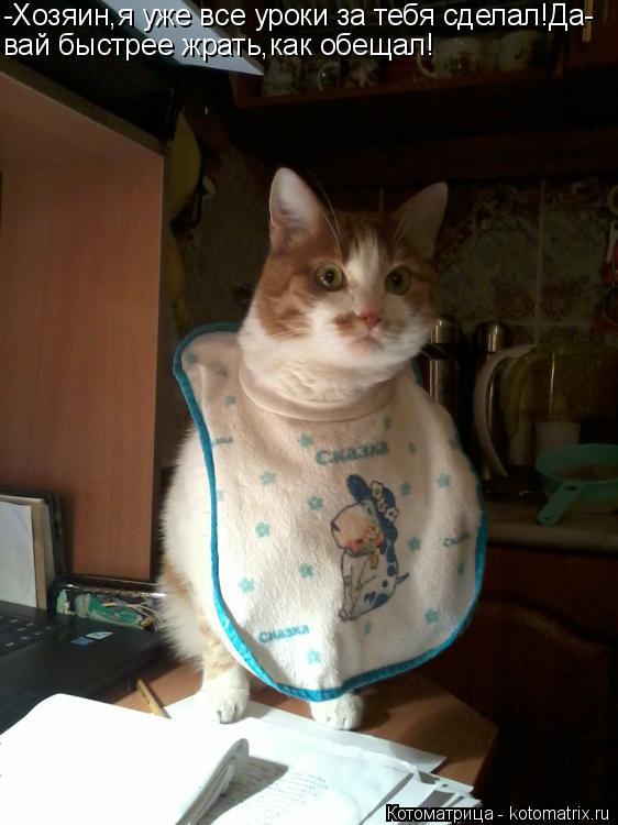 Котоматрица: -Хозяин,я уже все уроки за тебя сделал!Да- вай быстрее жрать,как обещал!