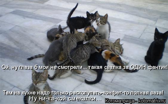 Ой, ну глаза б мои не смотрели... такая свалка за ОДИН фантик! Там на кухне надо только расколупать-к... Котоматрица: Ой, ну глаза б мои не смотрели... такая свалка за ОДИН фантик! Там на кухне надо только расколупать-конфет-то полная ваза! Ну ни-ка-кой смекалк