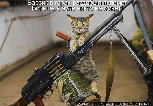 Котоматрица: Барсик в горах раздобыл пулемет. Больше в ауле никто не живет!