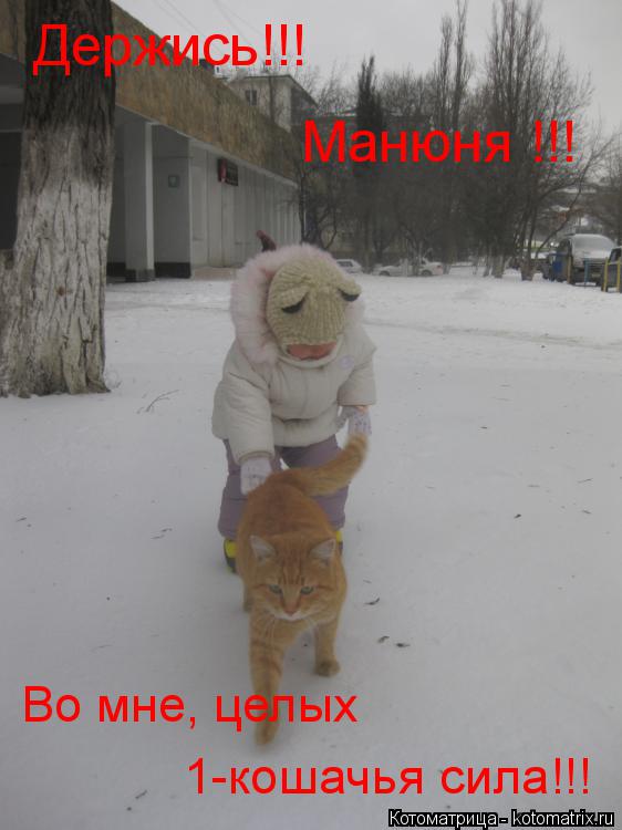 Котоматрица: Держись!!!  Манюня !!! Во мне, целых 1-кошачья сила!!!