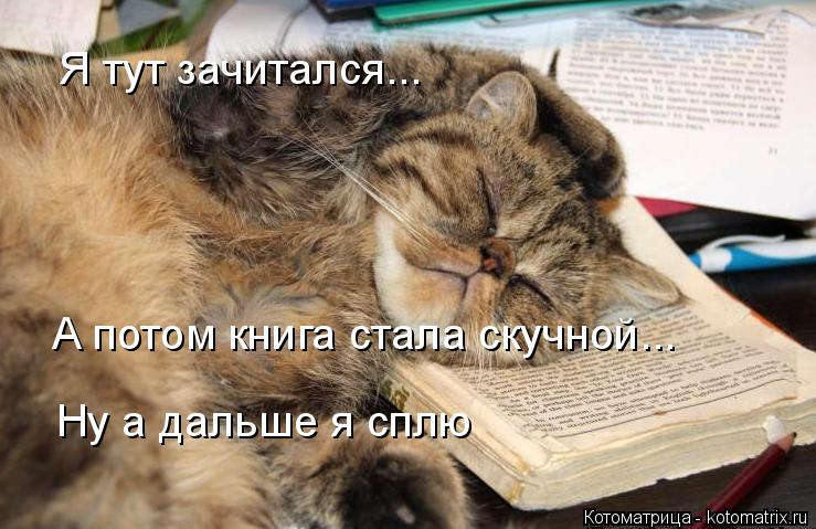 Котоматрица: Я тут зачитался... А потом книга стала скучной... Ну а дальше я сплю