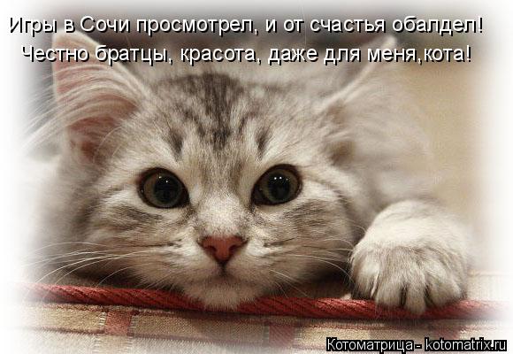 Котоматрица: Игры в Сочи просмотрел, и от счастья обалдел! Честно братцы, красота, даже для меня,кота!