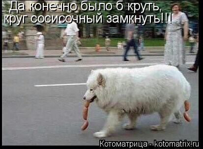Котоматрица: Да конечно было б круть, круг сосисочный замкнуть!!!