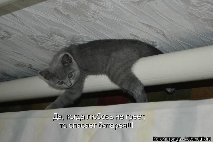 Котоматрица: Да, когда любовь не греет, то спасает батарея!!!