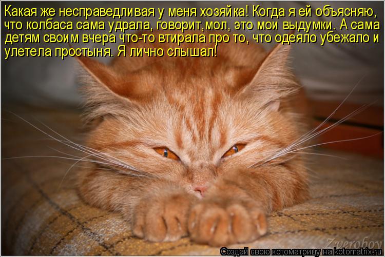 Котоматрица: Какая же несправедливая у меня хозяйка! Когда я ей объясняю, что колбаса сама удрала, говорит,мол, это мои выдумки. А сама детям своим вчера ч