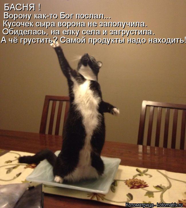 Котоматрица: БАСНЯ ! Ворону как-то Бог послал... Кусочек сыра ворона не заполучила. Обиделась, на елку села и загрустила. А чё грустить? Самой продукты надо