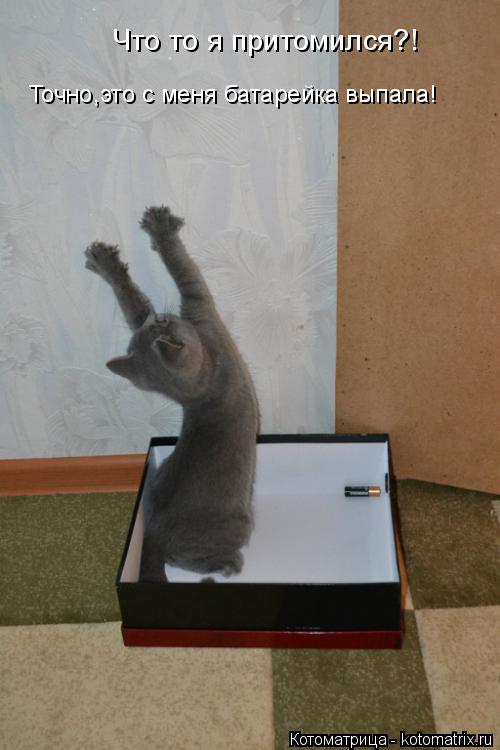 Котоматрица: Что то я притомился?! Точно,это с меня батарейка выпала!
