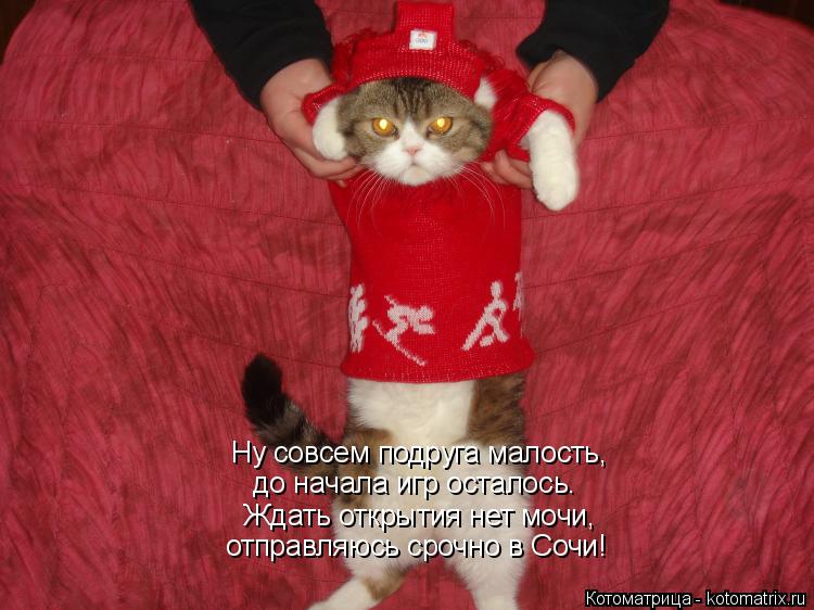 Котоматрица: Ну совсем подруга малость, до начала игр осталось. Ждать открытия нет мочи, отправляюсь срочно в Сочи!