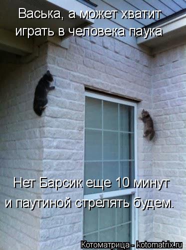 Котоматрица: Васька, а может хватит играть в человека паука Нет Барсик еще 10 минут и паутиной стрелять будем.