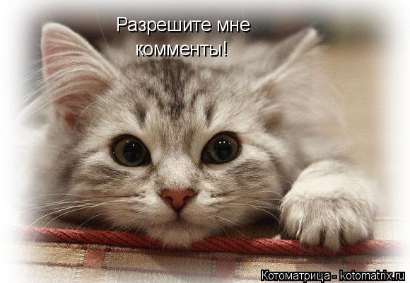 Котоматрица: Разрешите мне комменты!