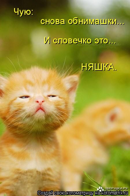 Чую: снова обнимашки... И словечко это... НЯШКА.... Котоматрица: Чую: снова обнимашки... И словечко это... НЯШКА.