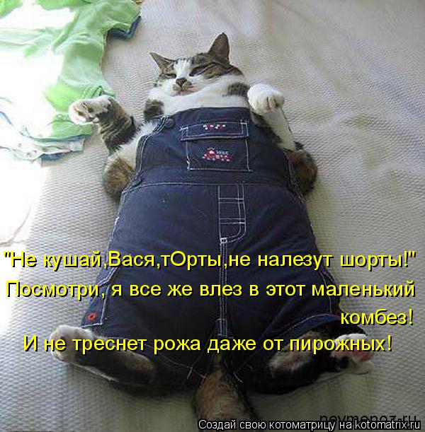 Котоматрица: "Не кушай,Вася,тОрты,не налезут шорты!" Посмотри, я все же влез в этот маленький комбез! И не треснет рожа даже от пирожных!