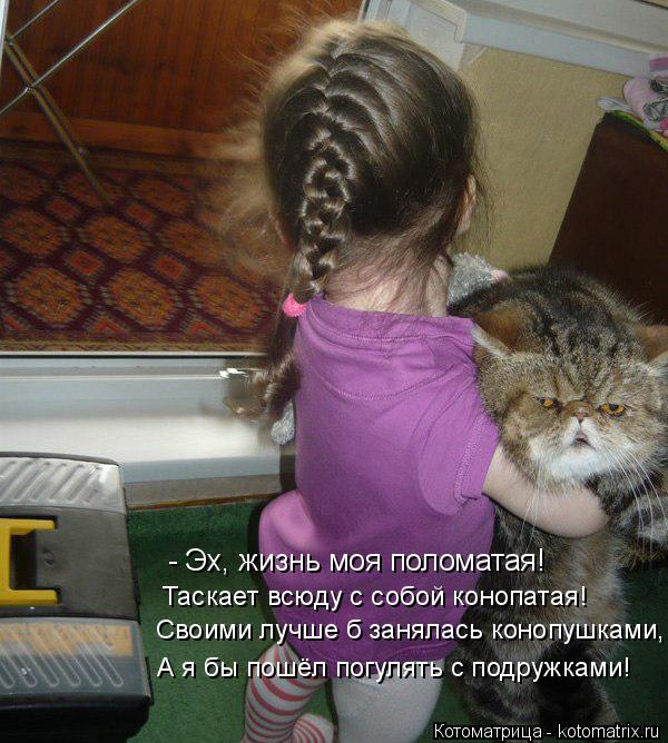 Котоматрица: Своими лучше б занялась конопушками, Таскает всюду с собой конопатая! - Эх, жизнь моя поломатая! А я бы пошёл погулять с подружками!