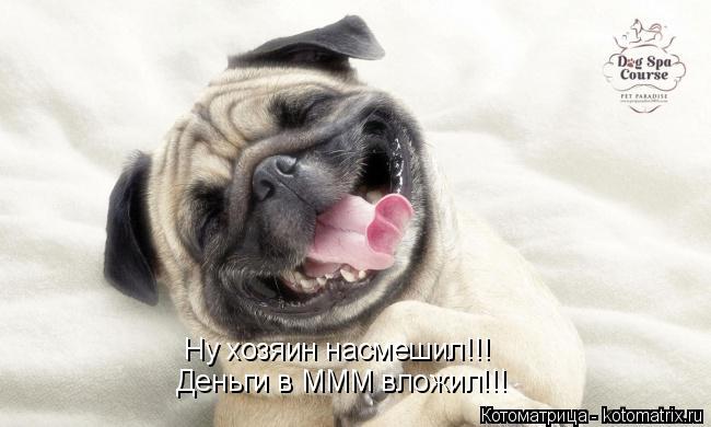 Котоматрица: Ну хозяин насмешил!!! Деньги в МММ вложил!!!