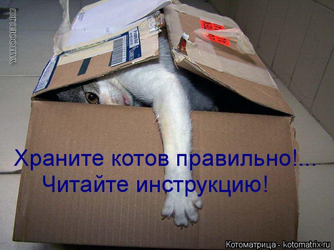 Котоматрица: Храните котов правильно!... Читайте инструкцию!