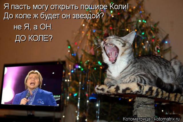 Котоматрица: Я пасть могу открыть пошире Коли! До коле ж будет он звездой? не Я, а ОН. ДО КОЛЕ?
