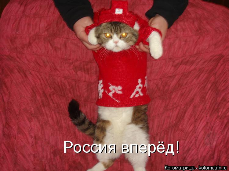 Котоматрица: Россия вперёд!