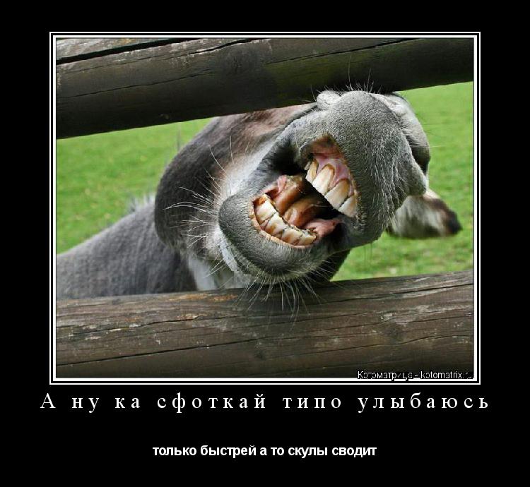 А ну ка сфоткай типо улыбаюсь только быстрей а то скулы сводит... Котоматрица: А ну ка сфоткай типо улыбаюсь только быстрей а то скулы сводит