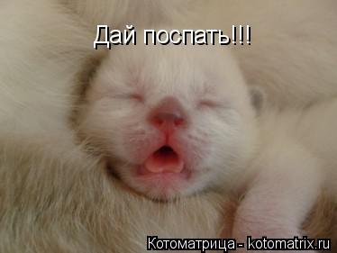 Котоматрица: Дай поспать!!!