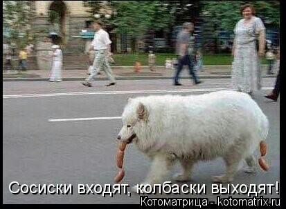 Котоматрица: Сосиски входят, колбаски выходят!