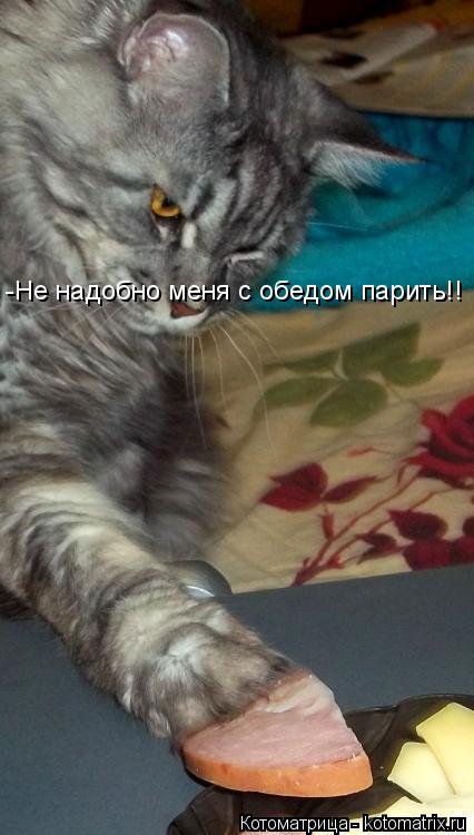 Котоматрица: -Не надобно меня с обедом парить!!