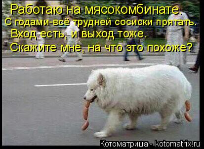 Котоматрица: Работаю на мясокомбинате. С годами-всё трудней сосиски прятать. Вход есть, и выход тоже. Скажите мне, на что это похоже?