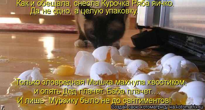Как и обещала, снесла Курочка Ряба яичко. Да не одно, а целую упаковку. Только зловредная Мышка мах... Котоматрица: Как и обещала, снесла Курочка Ряба яичко. Да не одно, а целую упаковку. Только зловредная Мышка махнула хвостиком, И лишь Мурзику было не до