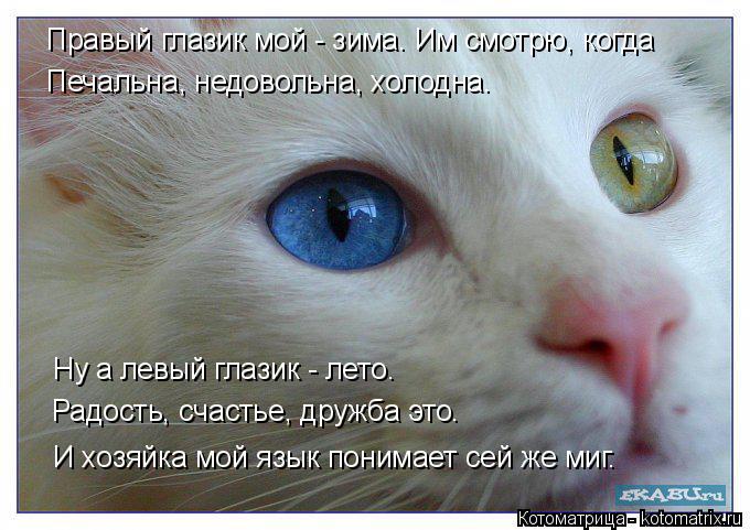 Котоматрица: Правый глазик мой - зима. Им смотрю, когда Печальна, недовольна, холодна. Ну а левый глазик - лето.  Радость, счастье, дружба это. И хозяйка мой 