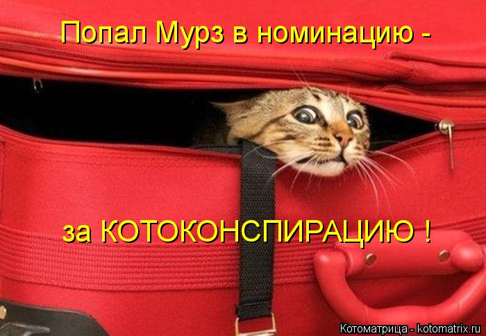 Котоматрица: Попал Мурз в номинацию - за КОТОКОНСПИРАЦИЮ !