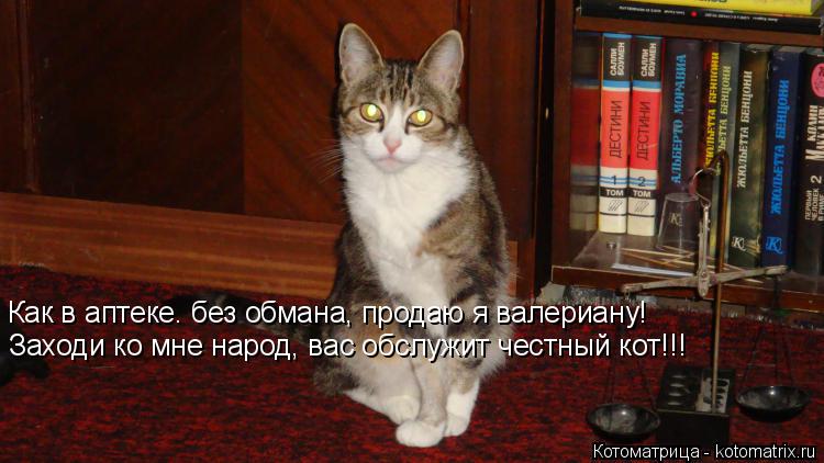 Котоматрица: Как в аптеке. без обмана, продаю я валериану! Заходи ко мне народ, вас обслужит честный кот!!!