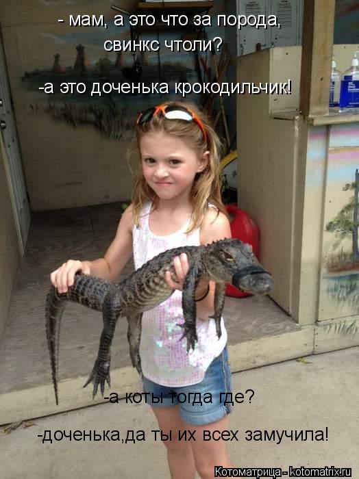 свинкс чтоли? -а это доченька крокодильчик! -а коты тогда где? -доченька,да ты их всех замучила! - ма... Котоматрица: свинкс чтоли? -а это доченька крокодильчик! -а коты тогда где? -доченька,да ты их всех замучила! - мам, а это что за порода,