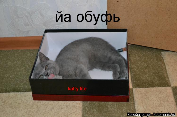 Котоматрица: йа обуфь katty lite