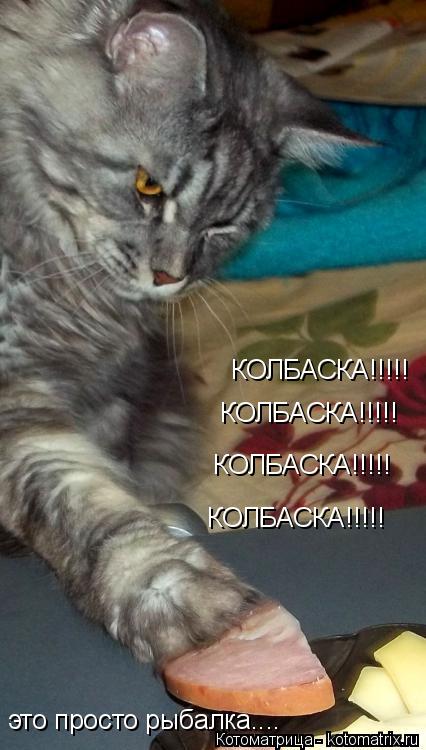Котоматрица: КОЛБАСКА!!!!! КОЛБАСКА!!!!! КОЛБАСКА!!!!! КОЛБАСКА!!!!! это просто рыбалка....