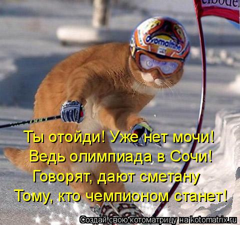 Котоматрица: Ты отойди! Уже нет мочи! Ведь олимпиада в Сочи! Говорят, дают сметану Тому, кто чемпионом станет!