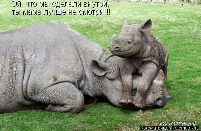 Котоматрица: Ой, что мы сделали внутри, ты мама лучше не смотри!!!
