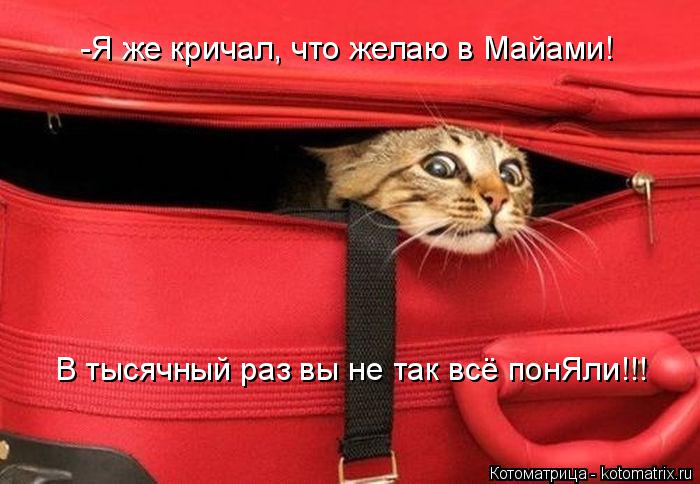 Котоматрица: -Я же кричал, что желаю в Майами! В тысячный раз вы не так всё понЯли!!!