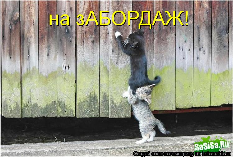 Котоматрица: на зАБОРДАЖ!