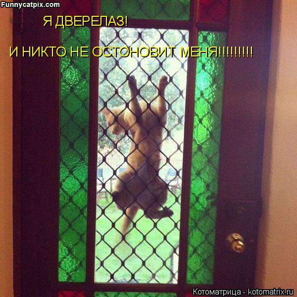 Котоматрица: Я ДВЕРЕЛАЗ! И НИКТО НЕ ОСТОНОВИТ МЕНЯ!!!!!!!!!